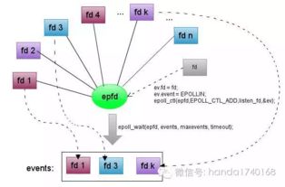 分布式系統(tǒng)本質(zhì)論 高吞吐、高可用與可擴展的計算機服務(wù)體系解析